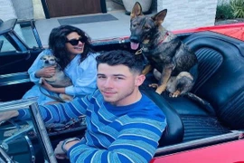 Hoa hậu Priyanka Chopra cho thú cưng dùng túi LV