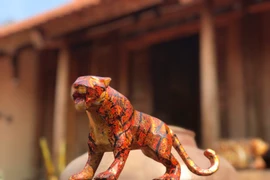 Chiêm ngưỡng đàn hổ cực chất của 8x Hà Nội