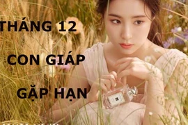 Video: Top con giáp bị tiểu nhân quấy phá, khó khăn muôn trùng tháng 12/2019