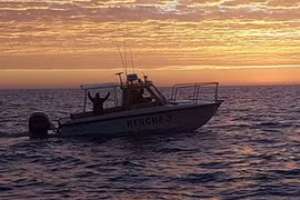 Hú vía bơi cùng cá mập hơn 3 giờ