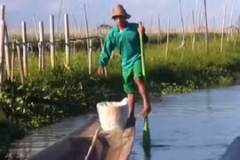 Nghệ thuật chèo thuyền một chân siêu phàm của người Intha