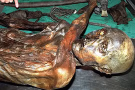 Giải mã hình xăm trên xác ướp Otzi 5.300 tuổi