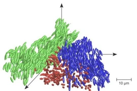 Thủy tinh lỏng phát hiện là một trạng thái vật chất mới