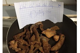 Phát hờn chuyện phụ huynh yêu chiều cún cưng hơn cả con