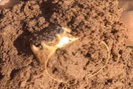 Thấy 1 thứ lấp lánh dưới cát, người đàn ông đào lên rồi suýt ngất