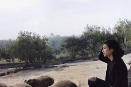 Nam thần khiến MXH dậy sóng vì combo "tóc dài, hình xăm, 6 múi và yêu động vật"