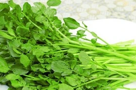 Công dụng chữa bệnh tuyệt vời của rau cải xoong bạn biết chưa