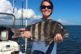 Kỳ lạ cá với hàm răng giống người, có thể "nhai cả thế giới"