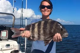 Kỳ lạ cá với hàm răng giống người, có thể "nhai cả thế giới"