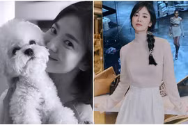 Bước sang tuổi 40, Song Hye Kyo bắt đầu lộ dấu hiệu lão hóa rõ nét