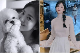 Bước sang tuổi 40, Song Hye Kyo bắt đầu lộ dấu hiệu lão hóa rõ nét