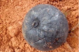 Đi rừng đào được cục đá, tưởng thứ vứt đi ai ngờ là "vàng đen"