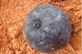 Đi rừng đào được cục đá, tưởng thứ vứt đi ai ngờ là "vàng đen"