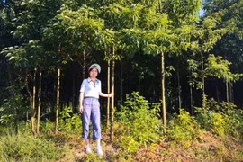 Bỏ việc lương cao, cô gái trẻ về quê kiếm tiền tỷ đều tay