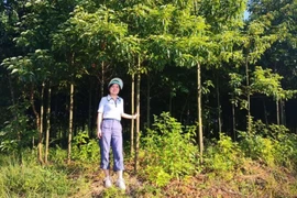 Bỏ việc lương cao, cô gái trẻ về quê kiếm tiền tỷ đều tay