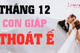 Video: Top con giáp đào hoa vượng sắc, thoát kiếp ế lâu ngày tháng 12/2019