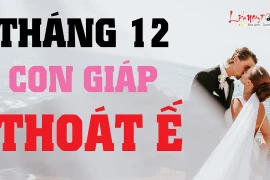 Video: Top con giáp đào hoa vượng sắc, thoát kiếp ế lâu ngày tháng 12/2019