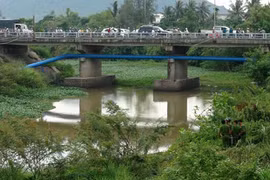 Phú Yên: Phát hiện thi thể phụ nữ trong tình trạng phân hủy