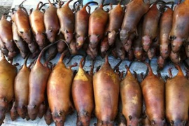 Đặc sản chuột nướng ở Hà Giang