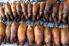 Đặc sản chuột nướng ở Hà Giang