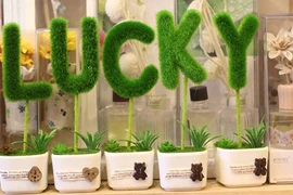 Video: Làm sao để luôn gặp may mắn trong cuộc sống?