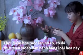 Video: 'Tiên nữ' Lý Tử Thất chế biến hoa mộc lan thành món ăn như thế nào?