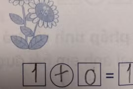 Bài toán đếm con ong khiến 2 mẹ con mâu thuẫn