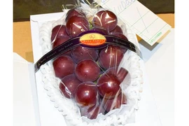 Chùm nho phá kỷ lục với giá 221 triệu đồng