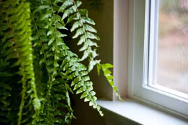 Mẹo giảm nhiệt, chống nóng cho căn nhà trong ngày hè