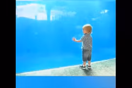 Video: Những tình huống hài hước xuất hiện ở trong thủy cung