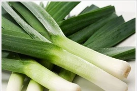 Phương pháp điều trị tiểu đường hiệu quả bằng tỏi tây