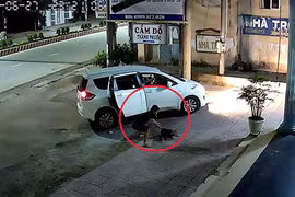 Video: "Cẩu tặc" đi ô tô, bắn súng điện trộm chó nhanh như chớp