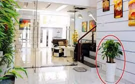 Từ giờ đến cuối năm, nhớ làm theo 6 mẹo phong thủy này để cải vận