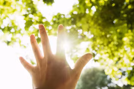 Khám phá những tướng trán thông minh làm nên điều kiệt xuất