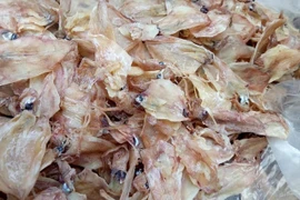 Mực khô siêu rẻ chỉ 3.000 đồng/con, chị em mua tới tấp