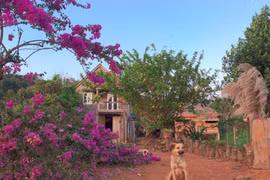 Vợ chồng 9X rời Sài Gòn về rừng lập nghiệp