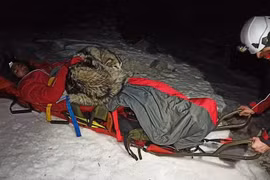 Chú chó cứu mạng chủ nhân bằng cách nằm trên người chủ suốt 13 tiếng