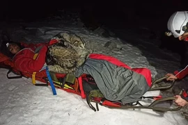 Chú chó cứu mạng chủ nhân bằng cách nằm trên người chủ suốt 13 tiếng