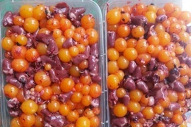 Hàng tấn trứng gà non hôi thối tuồn vào nhà hàng