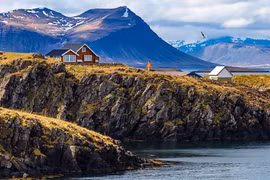 Quốc gia nào chỉ có 1 con muỗi và đang được... ngâm rượu?