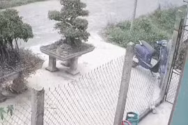 Video: Ô tô tông người đàn ông văng xa 5 mét