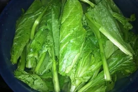 Loại rau đắng ở nông thông không buồn ăn, trên thành thị bán 80 nghìn/kg