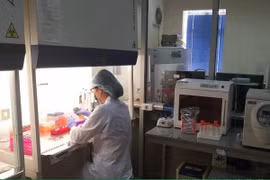 Những ông bố chết sững vì bí mật của vợ ở Viện Pháp y