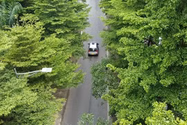 Những con đường rợp bóng cây xanh giữa ngày hè ‘đổ lửa’ tại Hà Nội