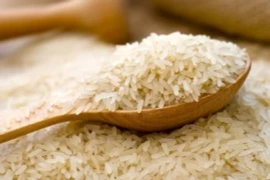 Tuyệt chiêu nhận biết gạo thật - gạo giả để không bị lừa 