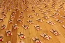 Mua bẫy chuột về đặt khắp nhà, sau 2 ngày chứng kiến cảnh tượng kinh hoàng