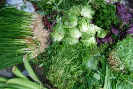 Chuyên gia: Ăn rau bẩn dễ nhiễm sán hơn thịt bẩn