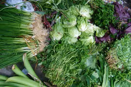 Chuyên gia: Ăn rau bẩn dễ nhiễm sán hơn thịt bẩn