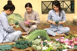 Chị gái Hà Thành hái 5.000 bông sen 100 cánh ướp trà chiều khách