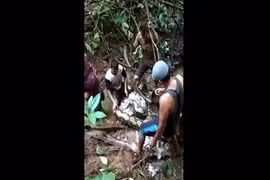 Video: Toát mồ hôi xem cảnh bắt trăn khổng lồ ở Indonesia